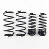 RS-R Down Sus Springs for 15-20 Honda Fit (GK5)