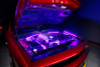 ORACLE Engine Bay LED Strip Lighting Kit w/ Remote - Colorshift