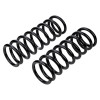 ARB / OME Front Medium Coil Springs for G Wagon