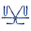 Sparco Martini-Racing 6 Pt 2" Blue Seat Belt Harness