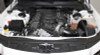K&N Black Performance Intake Kit for 11-13 Challenger V8 / 12-13 Charger V8