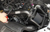K&N Blackhawk Intake for 15-20Ford F150 5.0L V8 - 71-2591
