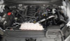 K&N Blackhawk Intake for 15-20Ford F150 5.0L V8 - 71-2591