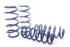 H&R Raising Springs for 21-22 Ford Bronco Sport 4WD