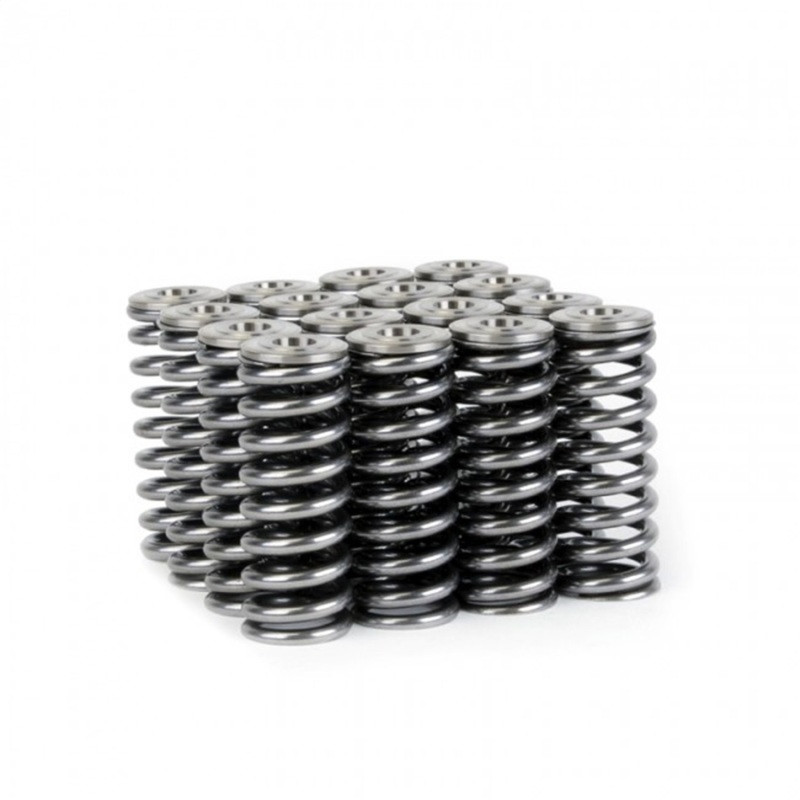 Skunk2 Alpha Series Valve Spring / Retainer Kit for Honda/Acura D Series