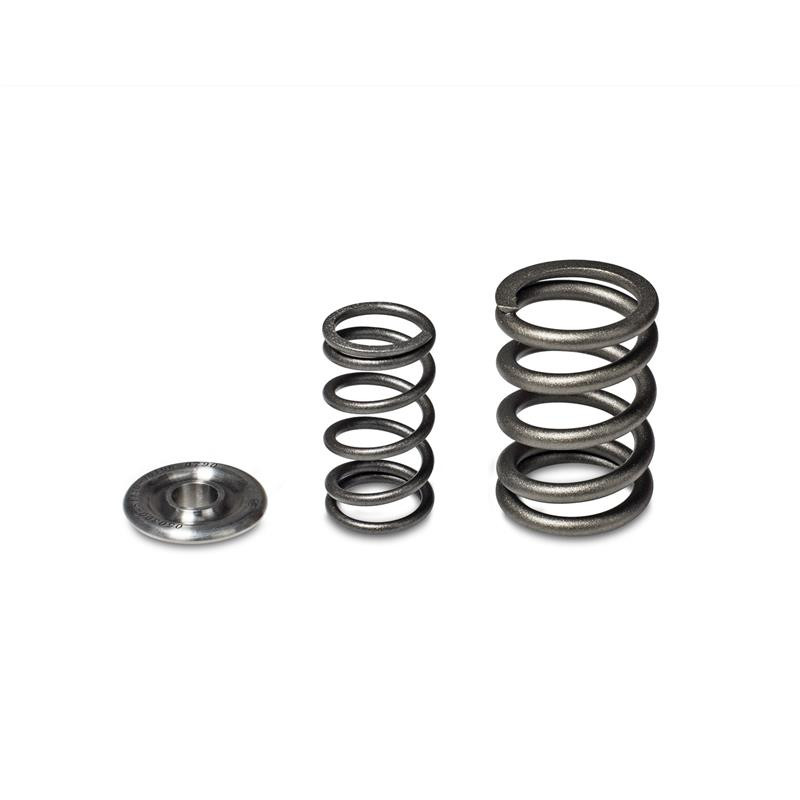 Skunk2 Alpha Series Valve Spring / Retainer Kit for Honda/Acura H Series