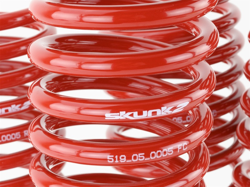Skunk2 Lowering Springs for 96-00 Civic - 519-05-1550
