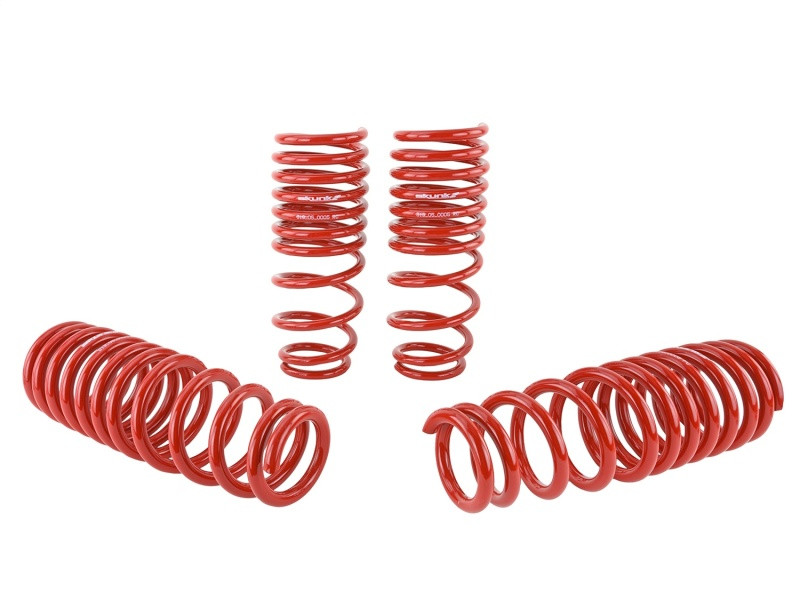 Skunk2 Lowering Springs for 94-01 Integra - 519-05-1560