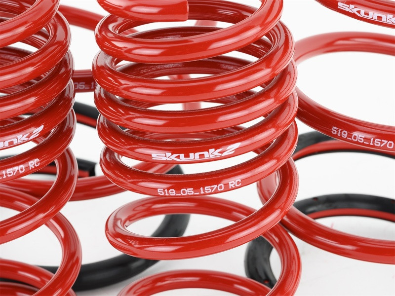 Skunk2 Lowering Springs for 01-05 Civic DX / EX - 519-05-1570