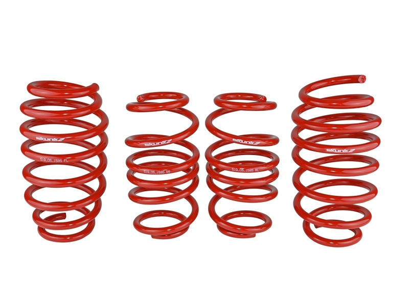Skunk2 Lowering Springs for 12-13 Civic SI - 519-05-1585