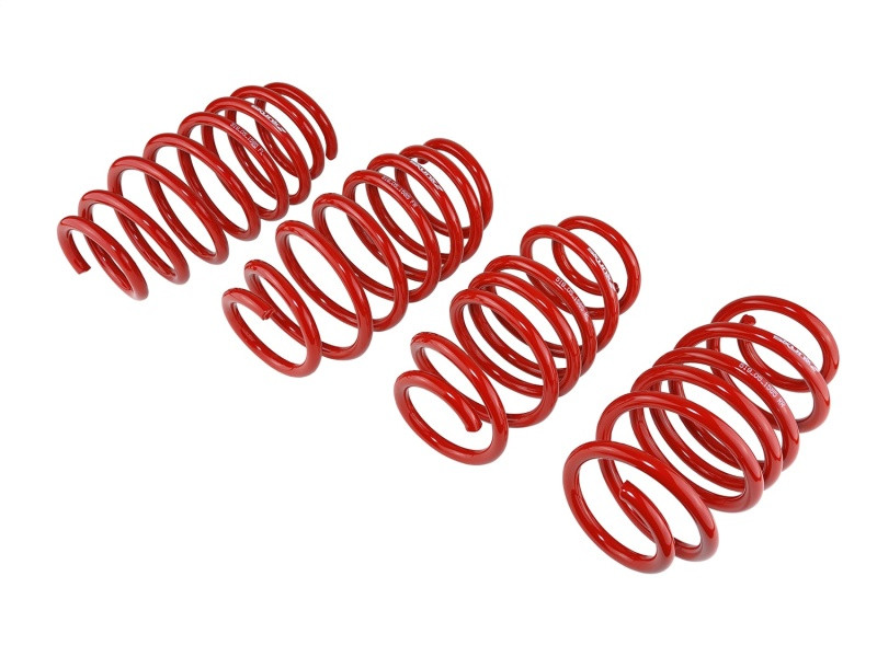 Skunk2 Lowering Springs for 12-13 Civic SI - 519-05-1585