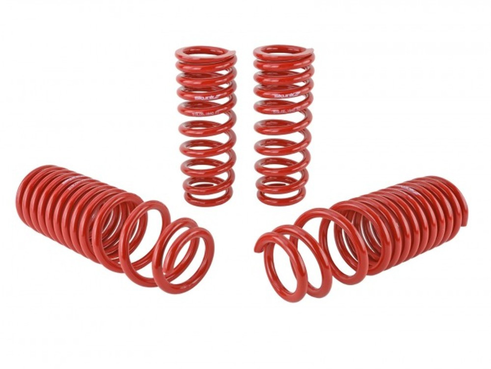 Skunk2 Lowering Springs for 90-93 Integra - 519-05-1640