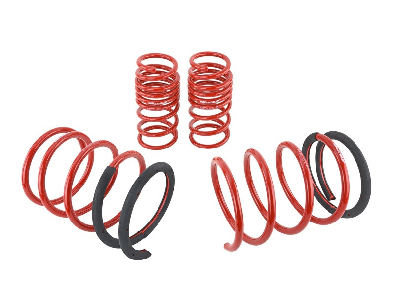 Skunk2 Lowering Springs for 05-06 RSX / RSX Type S - 519-05-1672
