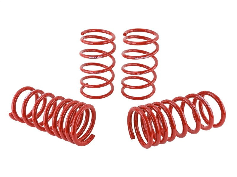 Skunk2 Lowering Springs for 13+ BRZ / FR-S - 519-12-1001