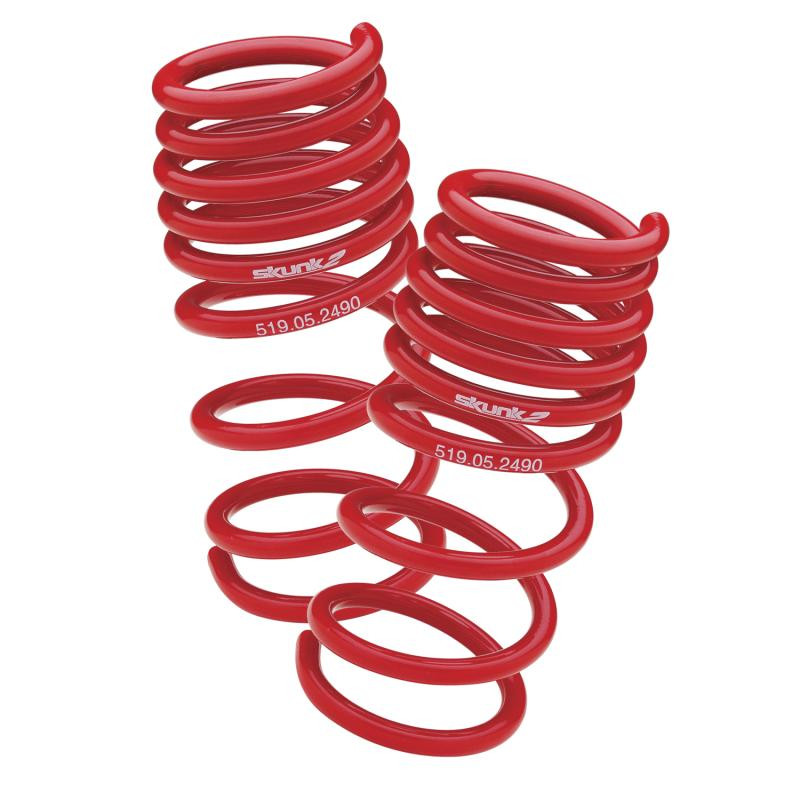 Skunk2 Lowering Springs for 13+ BRZ / FR-S - 519-12-1001