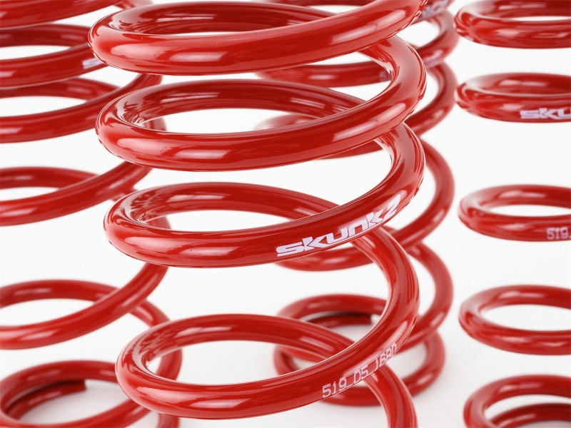 Skunk2 Lowering Springs for 00-09 s2000 s2k - 519-05-1680