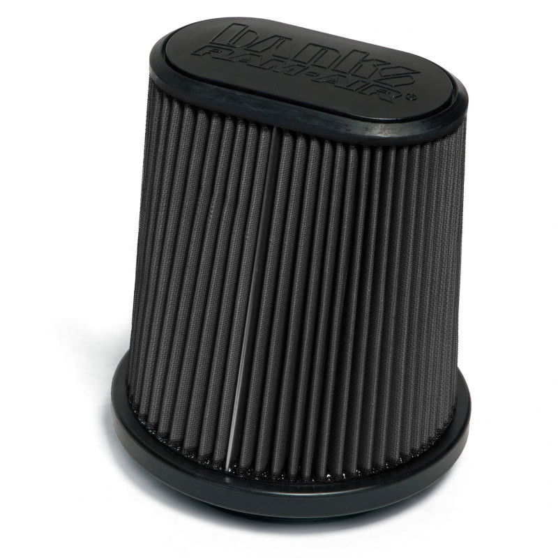 Banks Power Ram-Air Intake - Dry Filter for 15-16 Ford F-150 EcoBoost 2.7L/3.5L