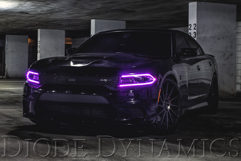 Diode Dynamics RGBW DRL LED Boards for 2015-2018 Dodge Charger