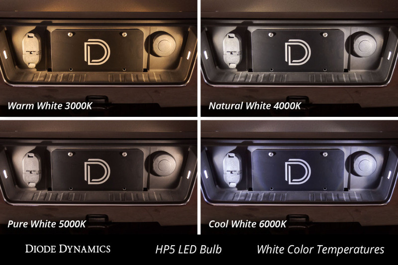 Diode Dynamics 194 HP5 LED Cool White Bulbs (pair)