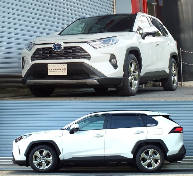 RS-R Down Sus Springs for 2019+ Toyota RAV4 (AWD)