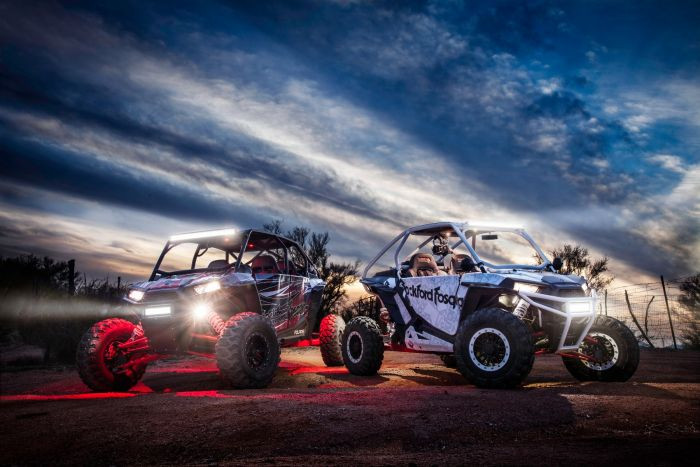Rigid Industries Rock Light Kit- Red (6 lights)