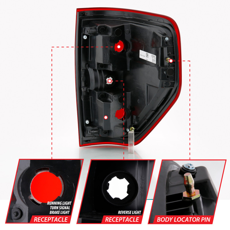 ANZO Euro Taillight Red/Clear (W/O Bulb) for 2009-2014 Ford F-150