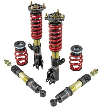 Skunk2 Pro ST Coilovers for 12-13 Honda Civic Si