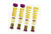 KW HAS Coilover Sleeves for 09+ Nissan GTR AWD Coupe - 25385006