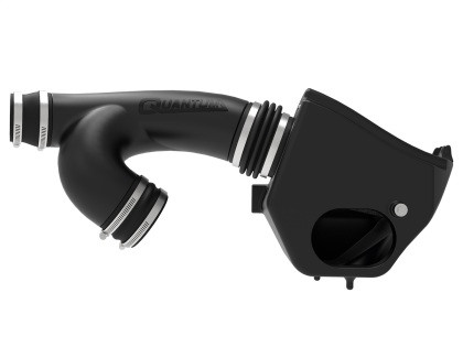 aFe Quantum Pro DRY S Cold Air Intake for 15-18 Ford F150 EcoBoost V6-3.5L/2.7L