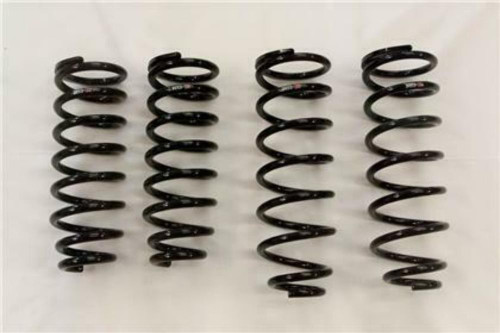 RS-R Down Sus Springs for 01-06 Lexus LS430 - T284D