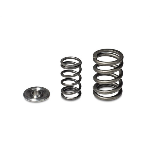 Skunk2 Alpha Series Valve Spring / Retainer Kit for Honda/Acura H Series