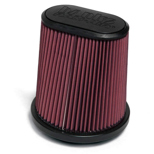 Banks Power Replacement Ram-Air Filter for 15-16 Ford F-150 2.7/3.5L/5.0L