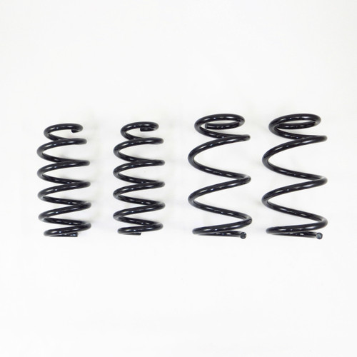 RS-R Ti2000 Down Sus Springs for 17+ Tesla Model 3 (AWD)