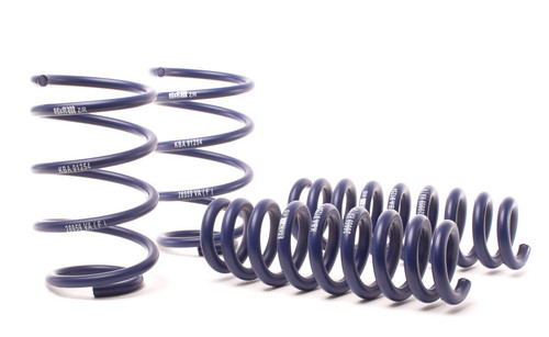 H&R Sport Springs for 13-15 BMW X1 xDrive28i E84 - 28959-1