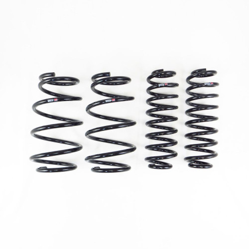 RS-R Down Sus Springs for 18+ Lexus ES300h