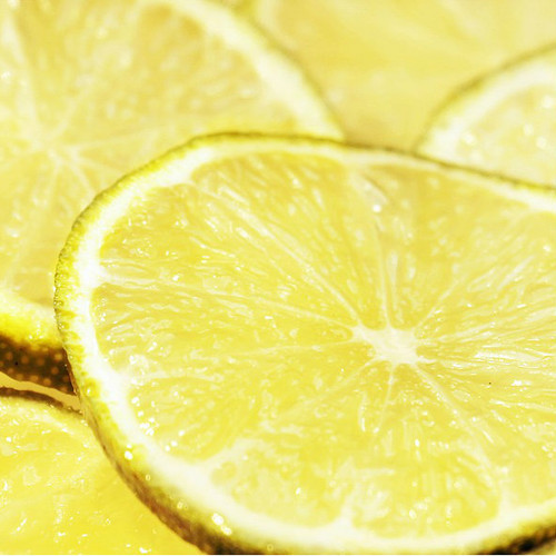 sugared lemon fragrance oil MakeYourOwn