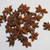 Star Anise