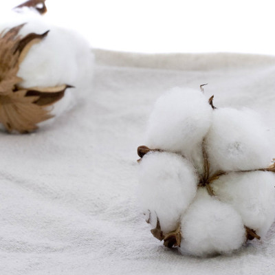 Buy Clean Cotton by Yankee® Type Fragrance Oil - MakeYourOwn