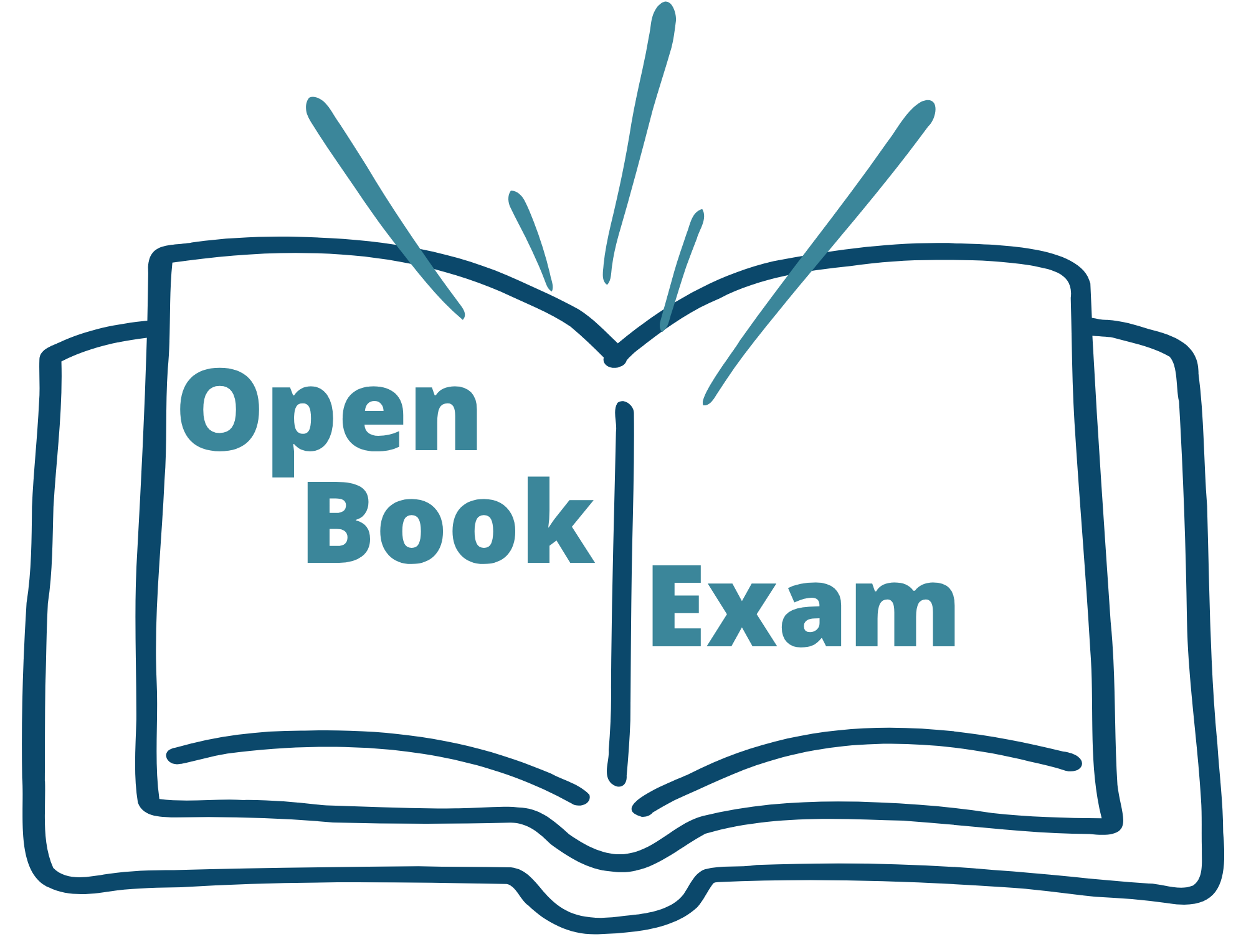 Open Book Exam
