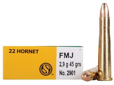 22 Hornet Ammo