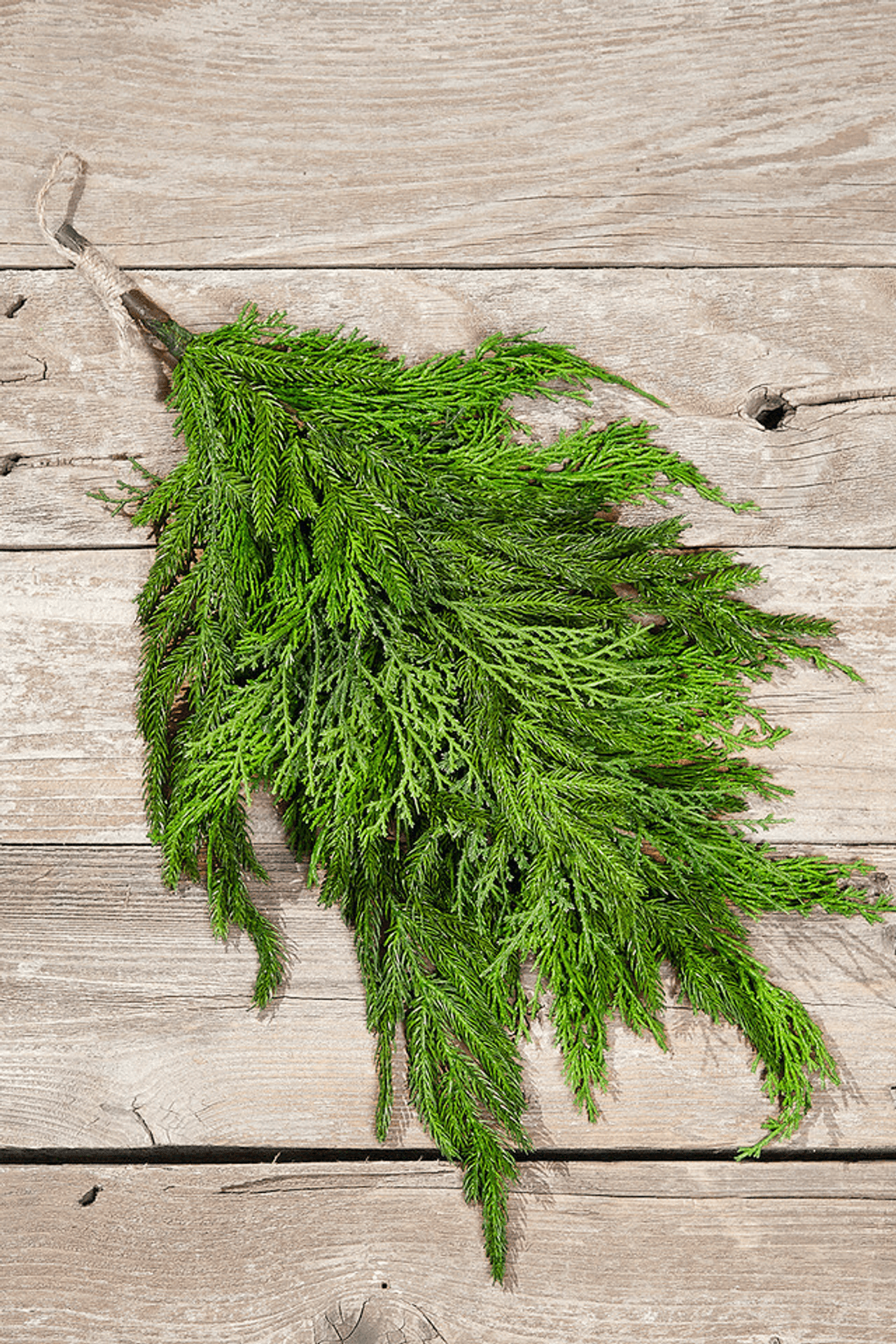 Biden s Next Home Where Will The Former President Reside biden-s-next-home-where-will-the-former-president-reside