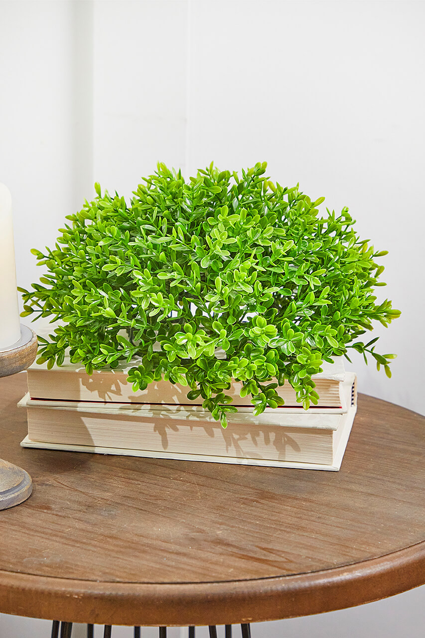 10 Boxwood 1 2 Orb Decorator s Warehouse 10-boxwood-1-2-orb-decorator-s-warehouse