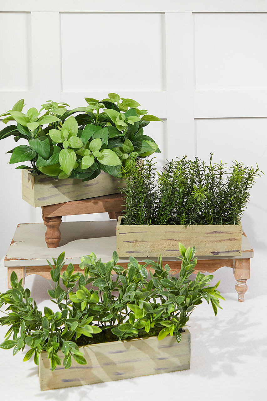 11" Plastic Herbs In Wooden Box Sage