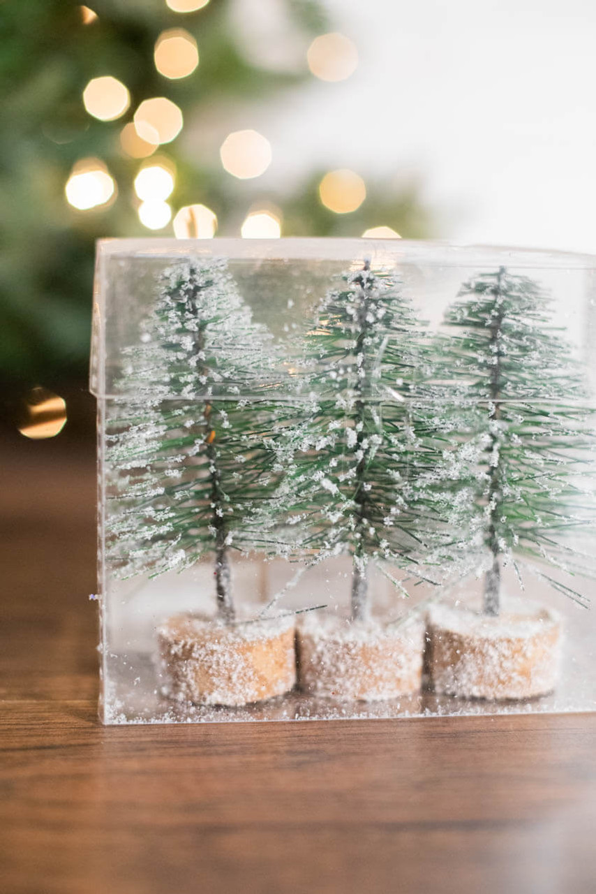 https://cdn11.bigcommerce.com/s-zqoar2tzjl/images/stencil/1280x1280/products/5068/17539/snowy-mini-bottle-brush-trees-2__98403.1628648032.jpg?c=1