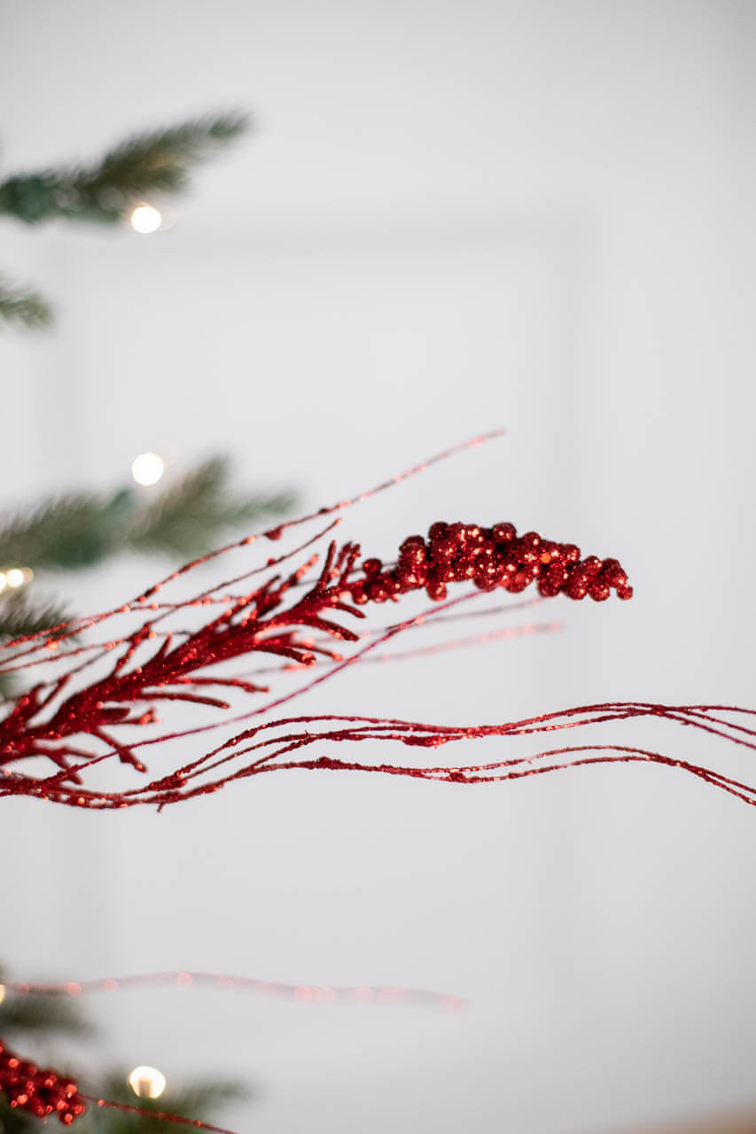 Red Glittered Birch Branches