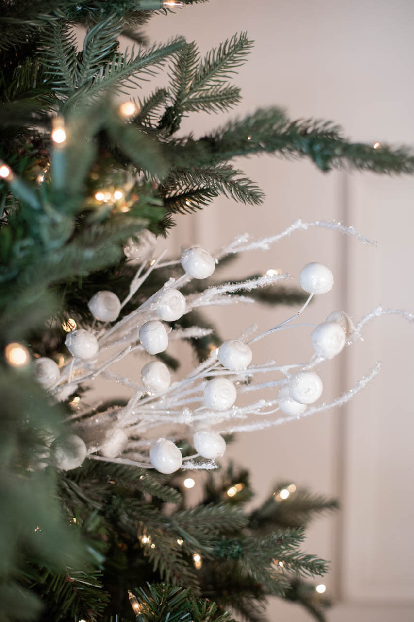 Details 153+ ice christmas decorations latest vova.edu.vn