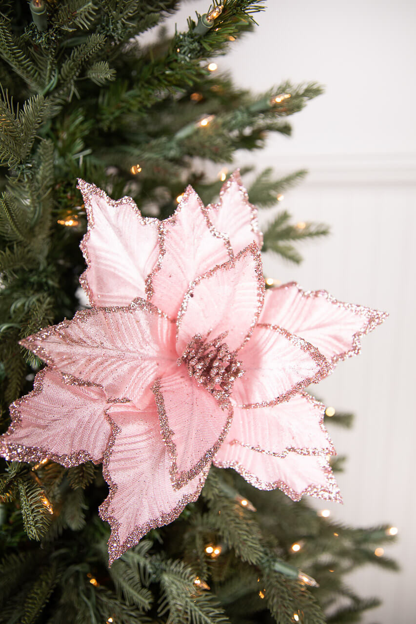 Pink shop christmas flowers