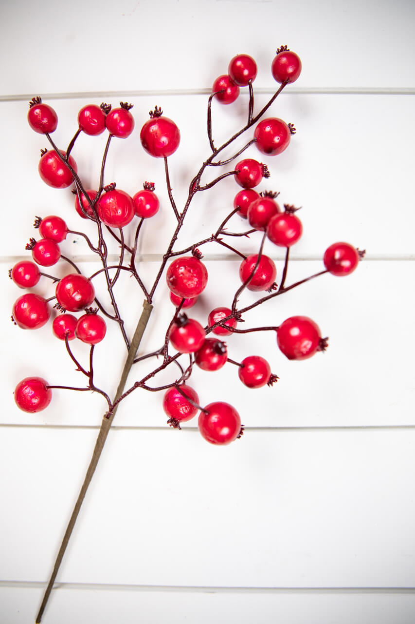 6' Crabapple Berry Garland: Shiny Red