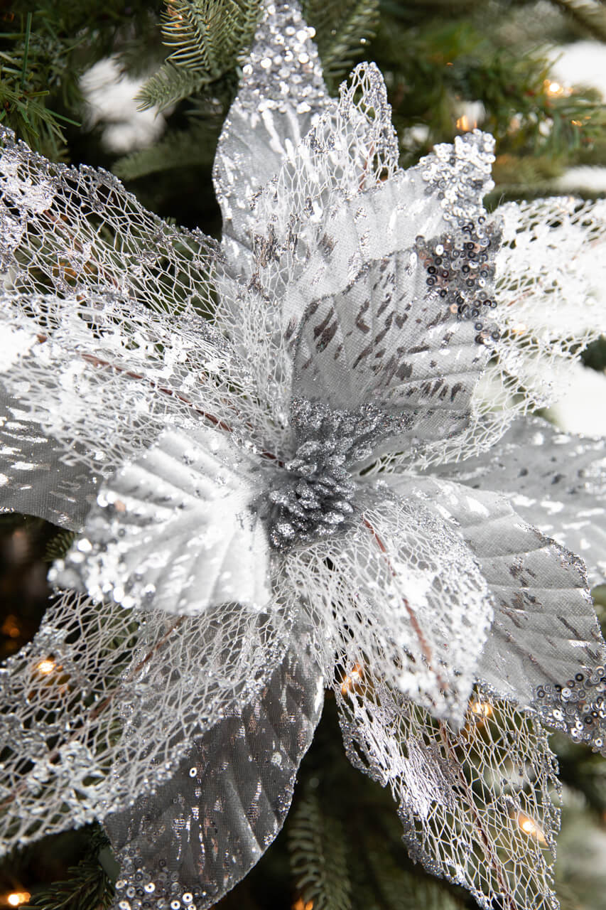 Silver Disco Poinsettia main image 1