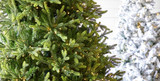 Best Artificial Christmas Trees Guide
